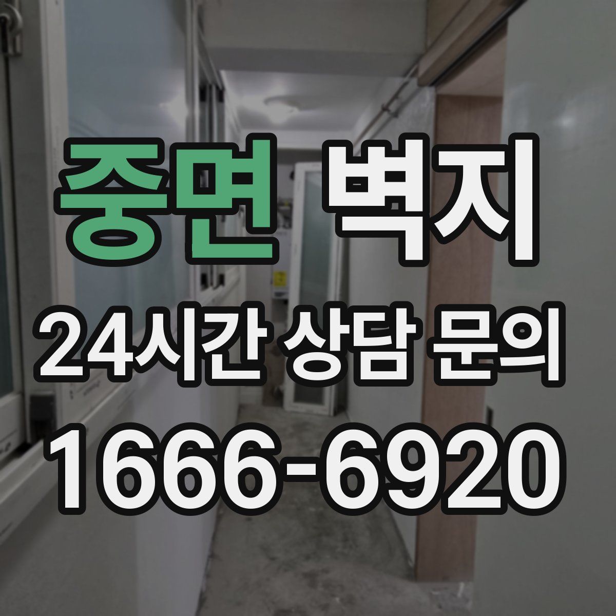 중면 벽지