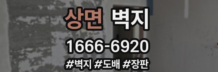 상면 벽지