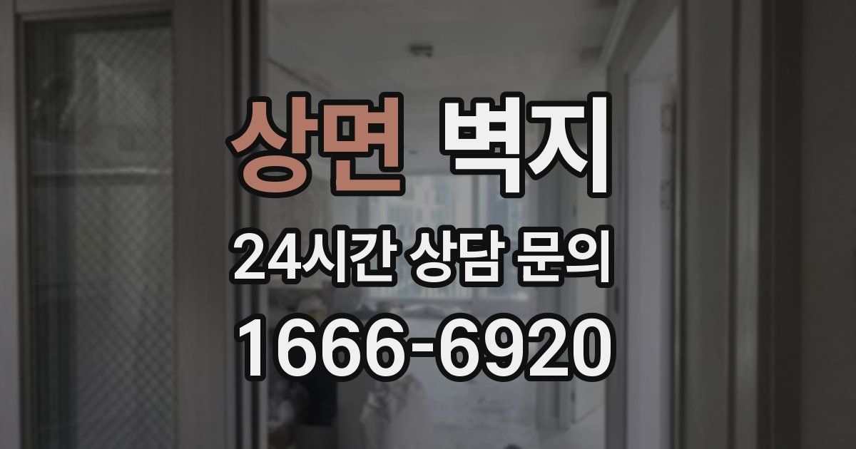 상면 벽지