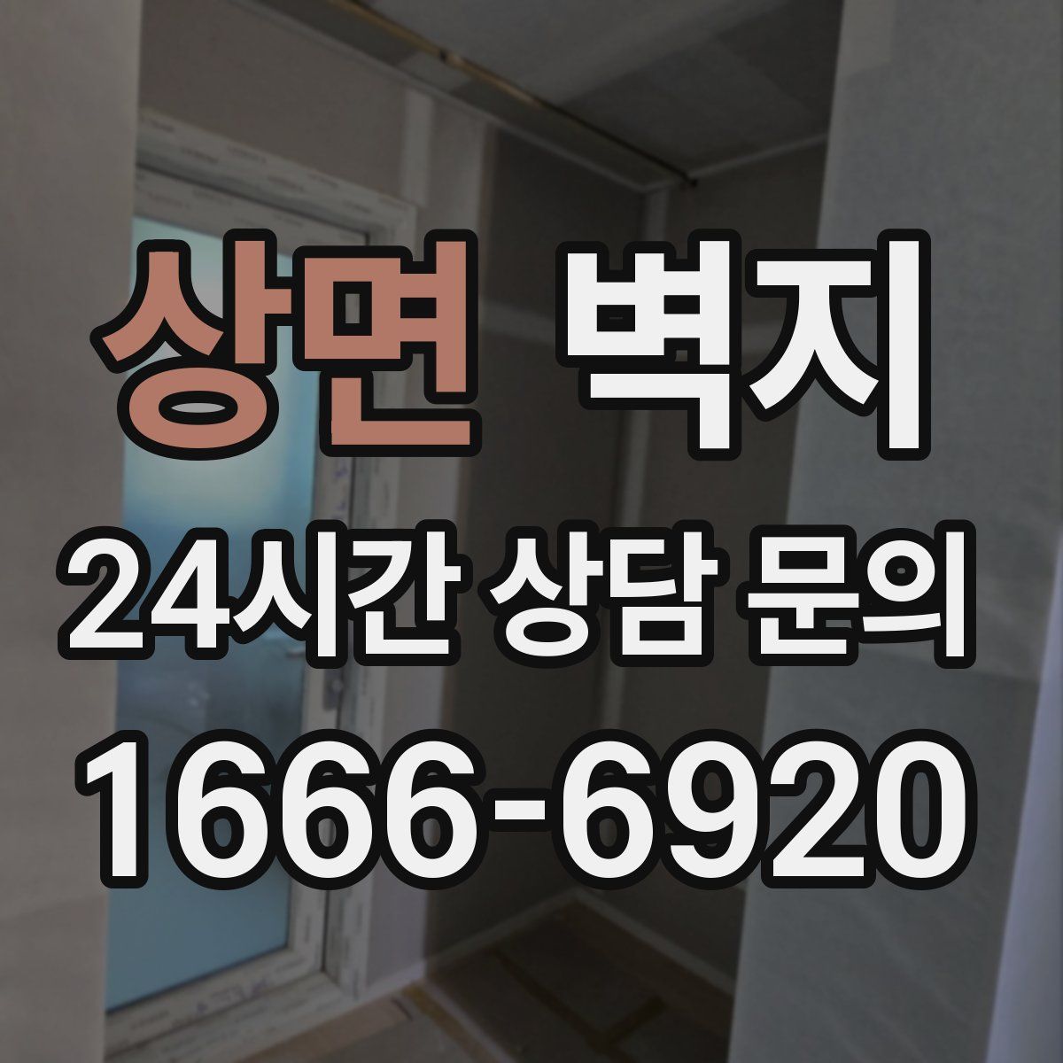 상면 벽지