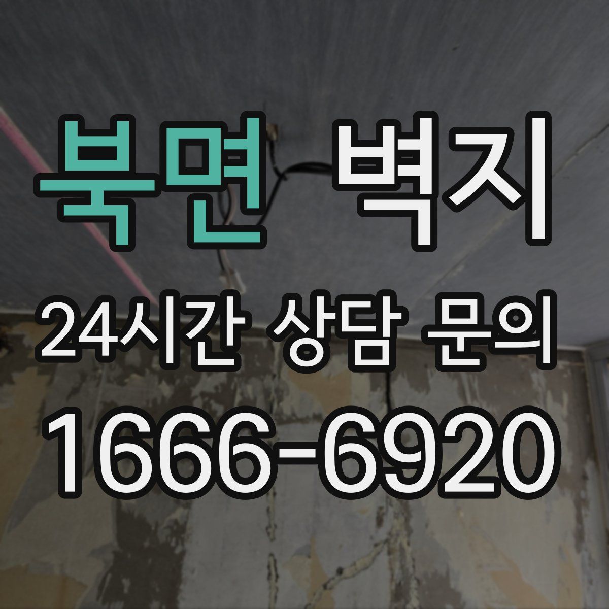 북면 벽지