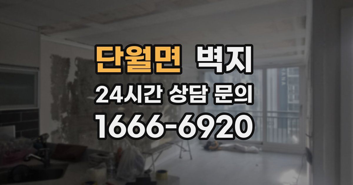 단월면 벽지