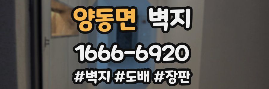 양동면 벽지