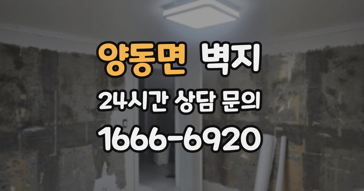 양동면 벽지