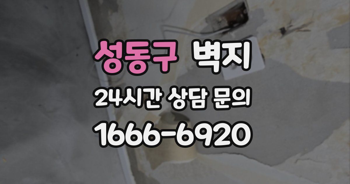 성동구 벽지