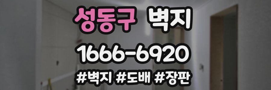 성동구 벽지