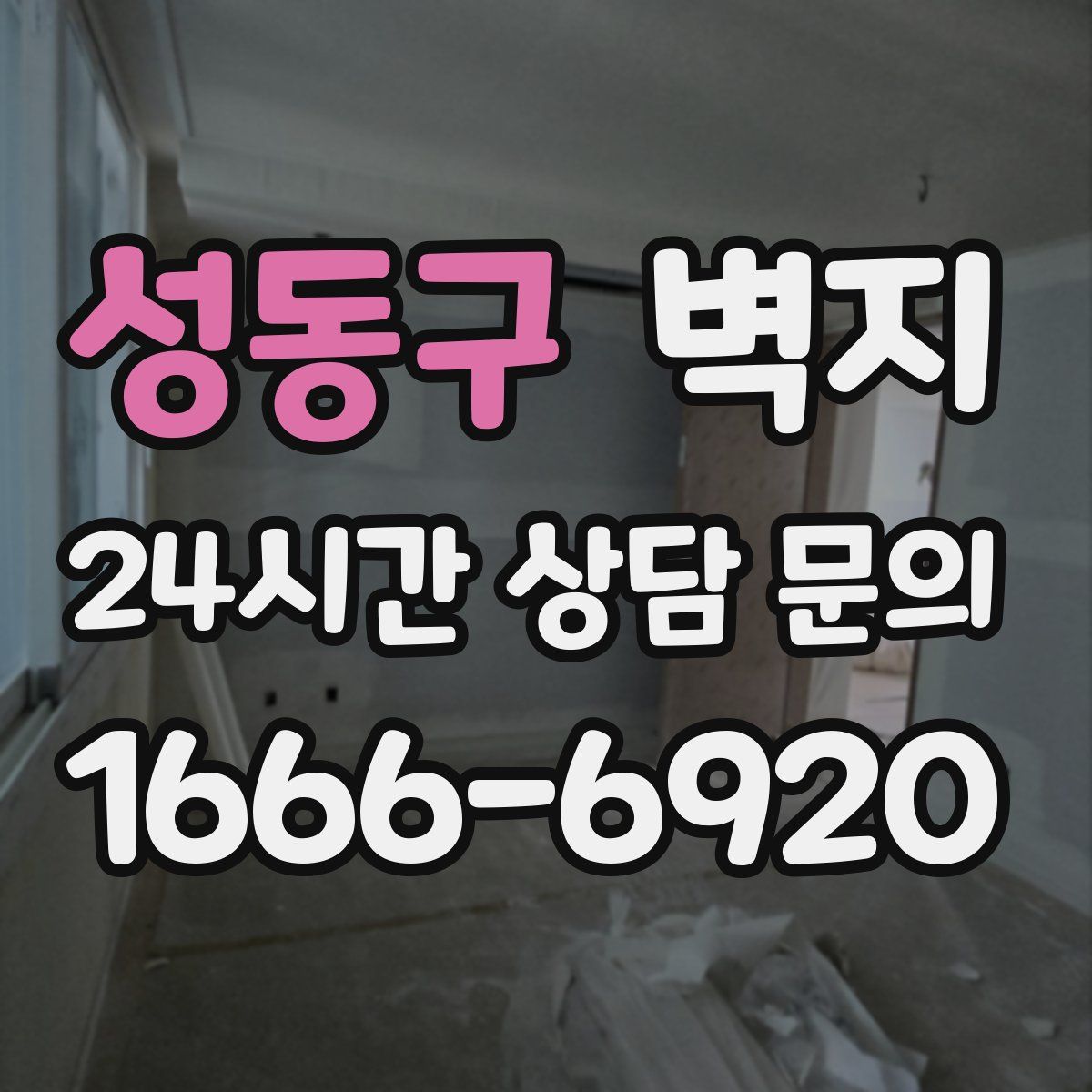 성동구 벽지