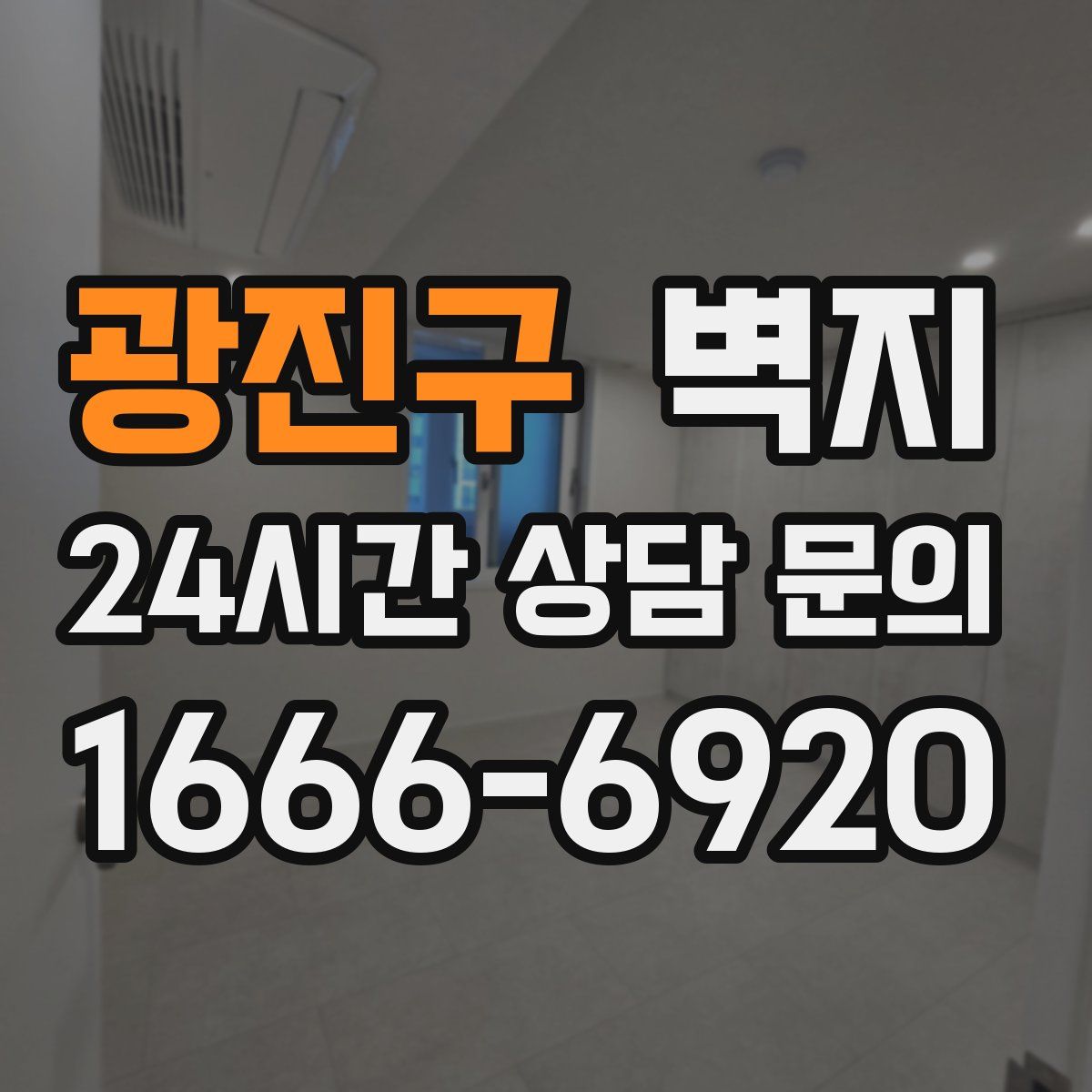광진구 벽지