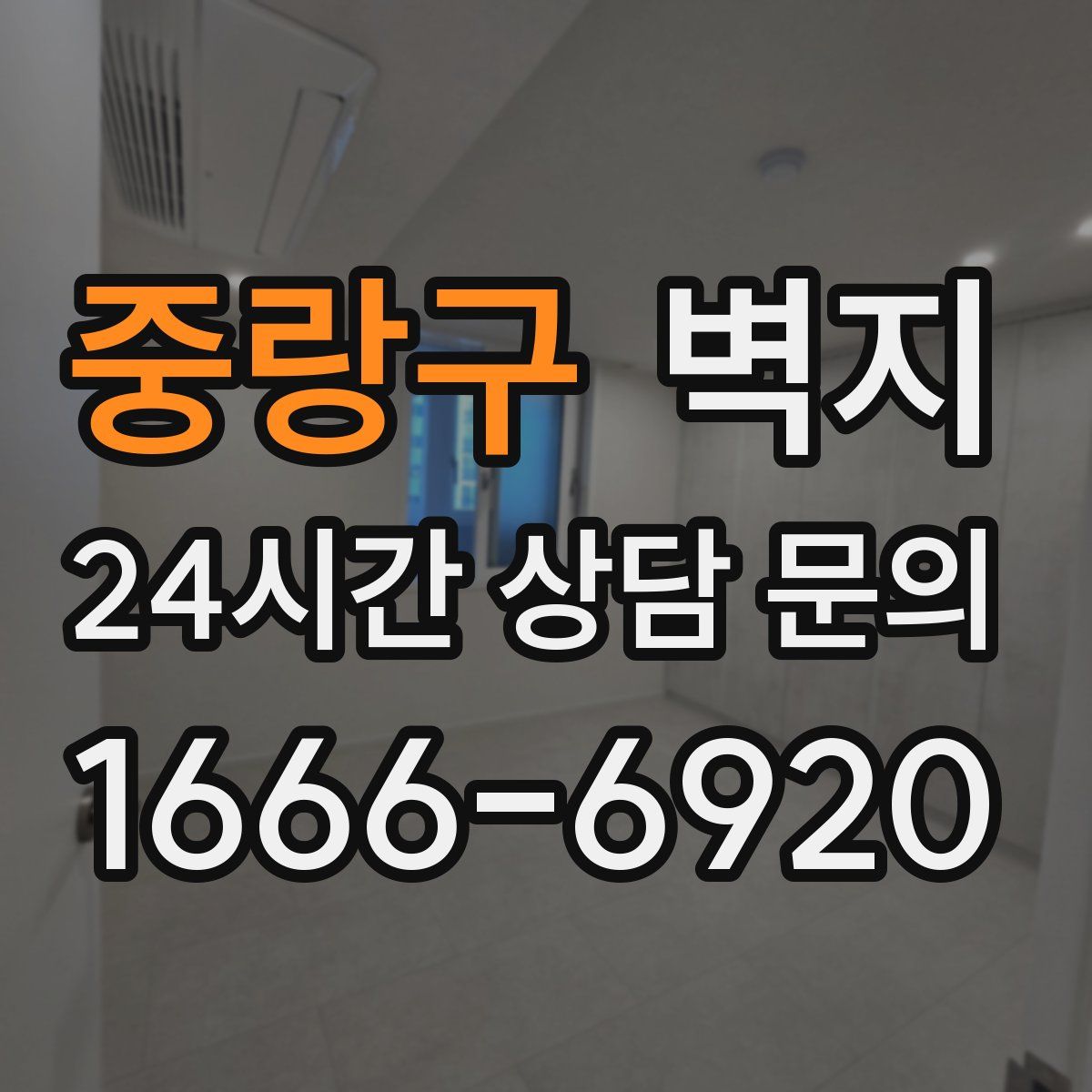 중랑구 벽지