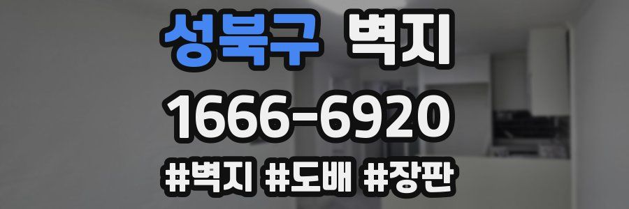성북구 벽지