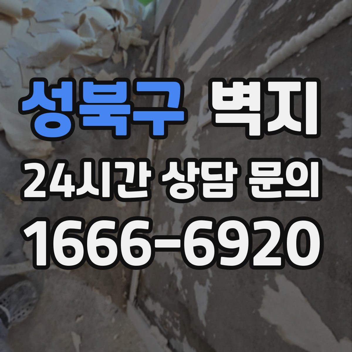 성북구 벽지