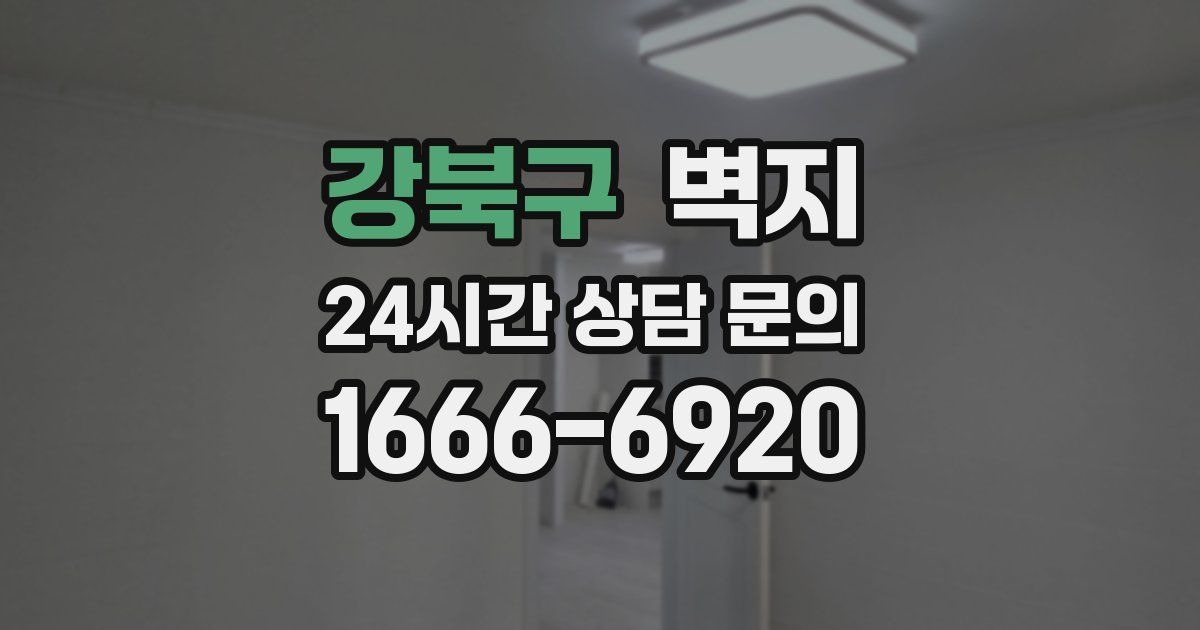 강북구 벽지