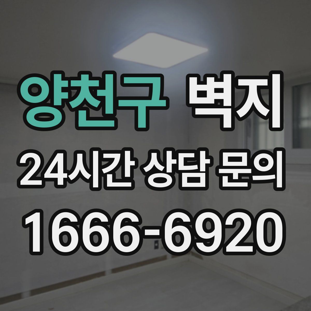 양천구 벽지