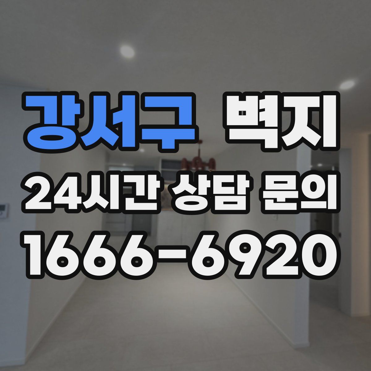 강서구 벽지