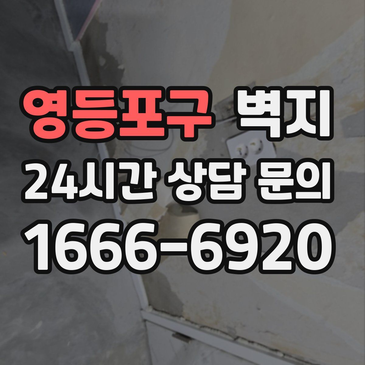영등포구 벽지