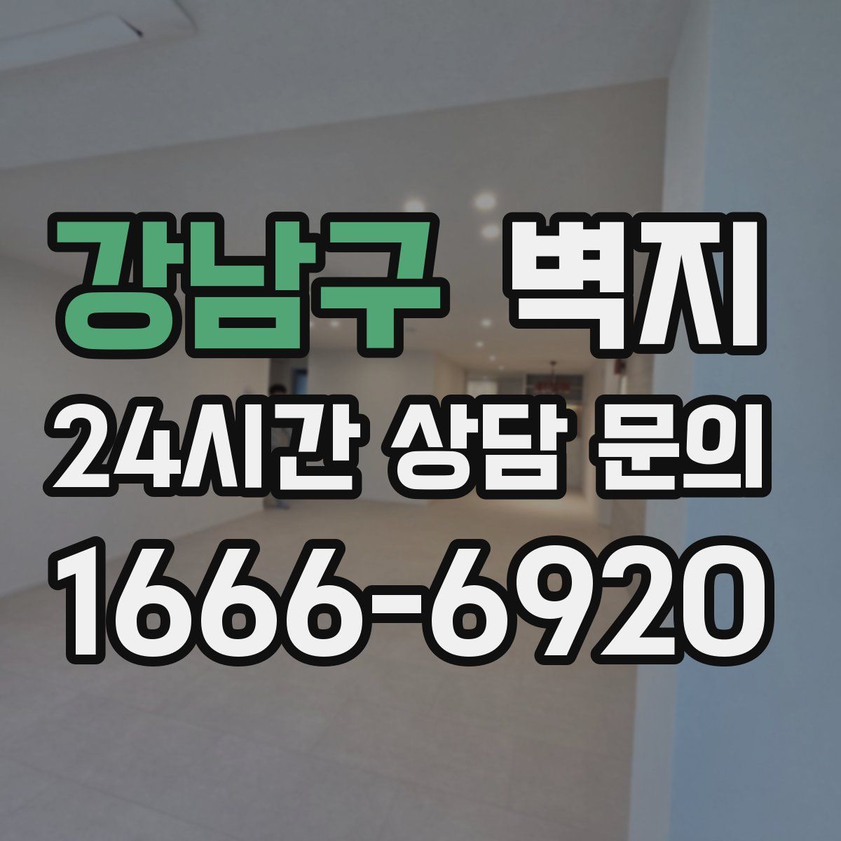 강남구 벽지