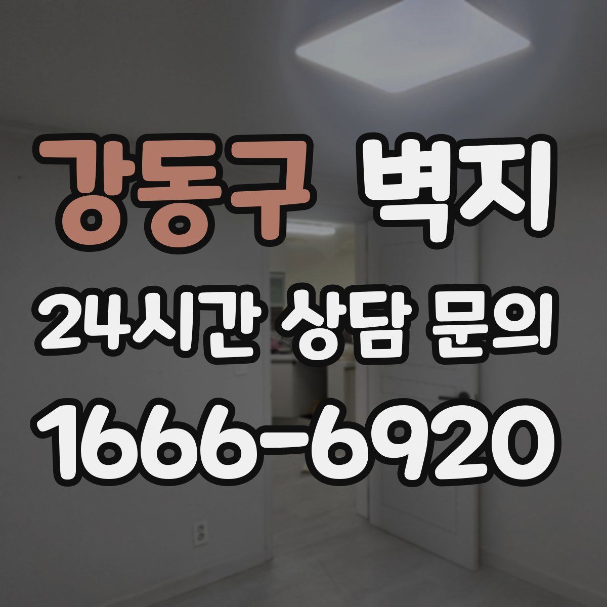 강동구 벽지