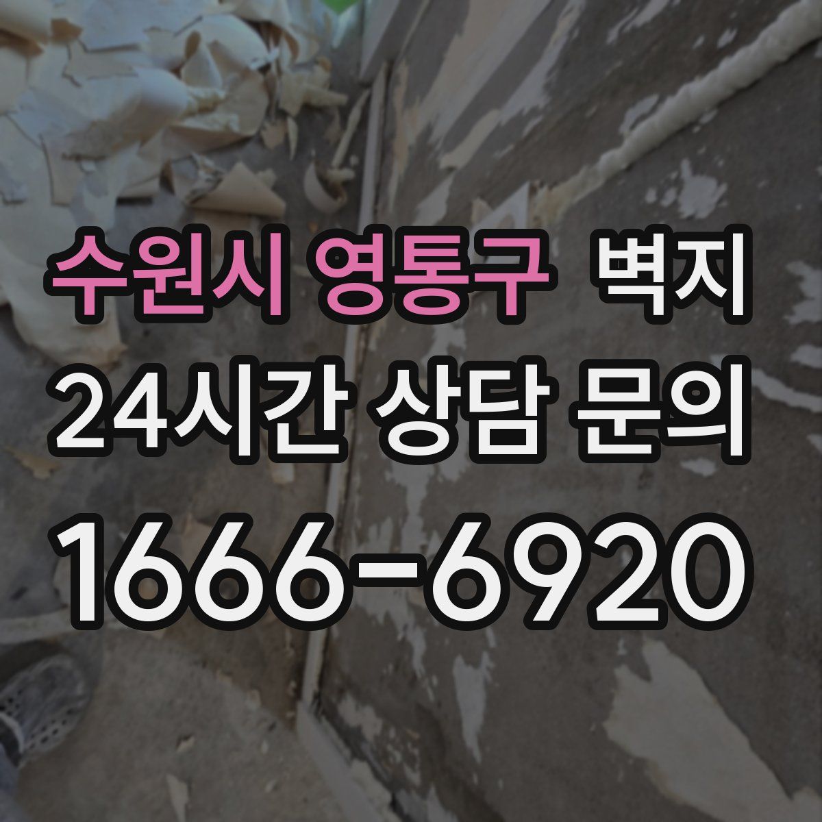 수원시 영통구 벽지