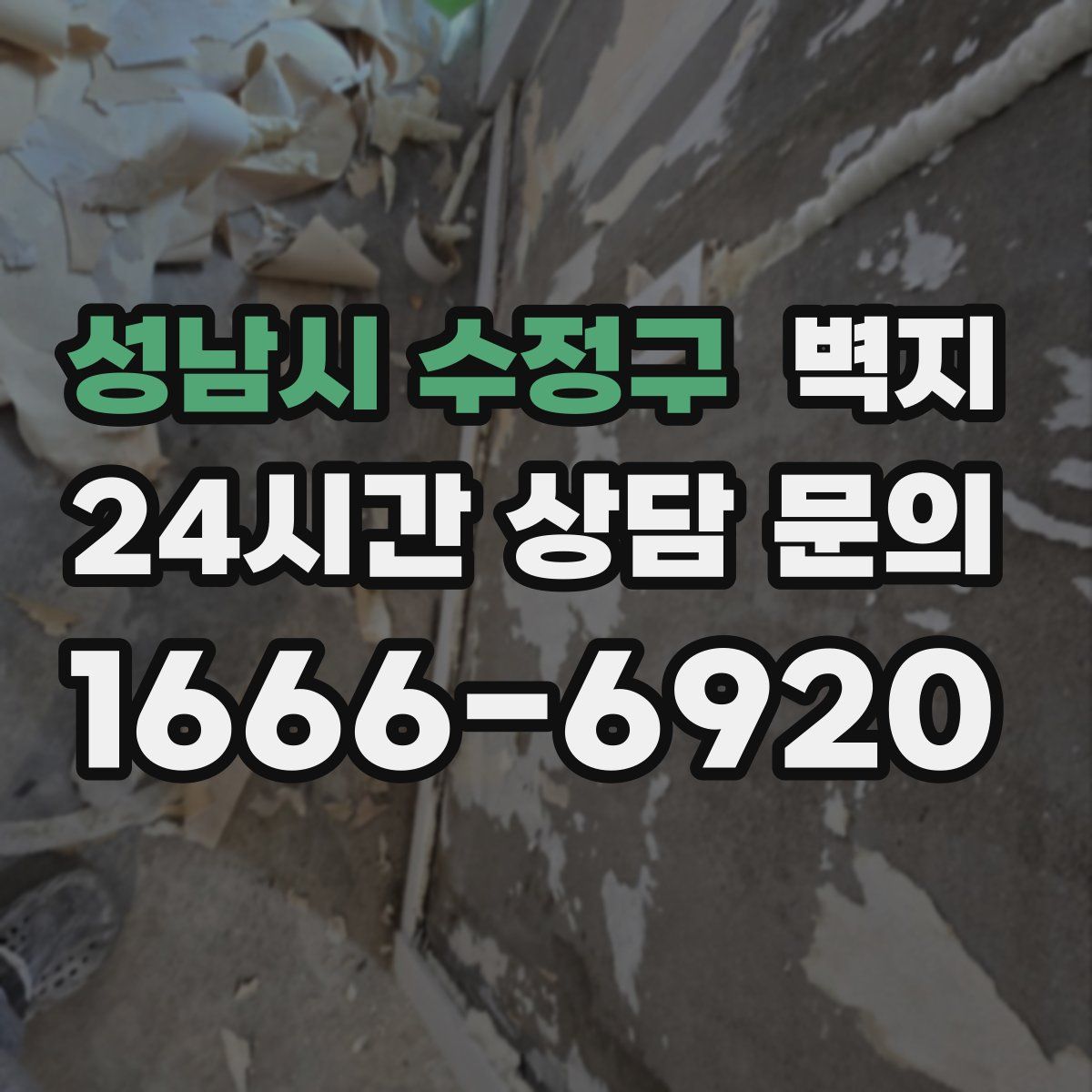 성남시 수정구 벽지
