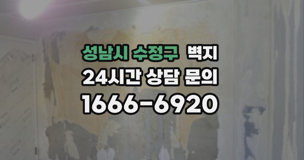 성남시 수정구 벽지