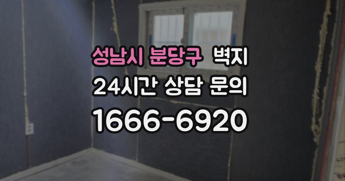 성남시 분당구 벽지