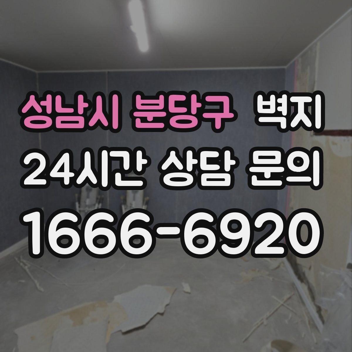 성남시 분당구 벽지