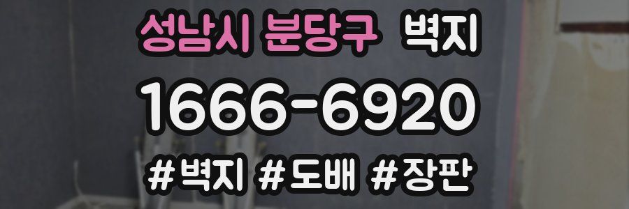 성남시 분당구 벽지