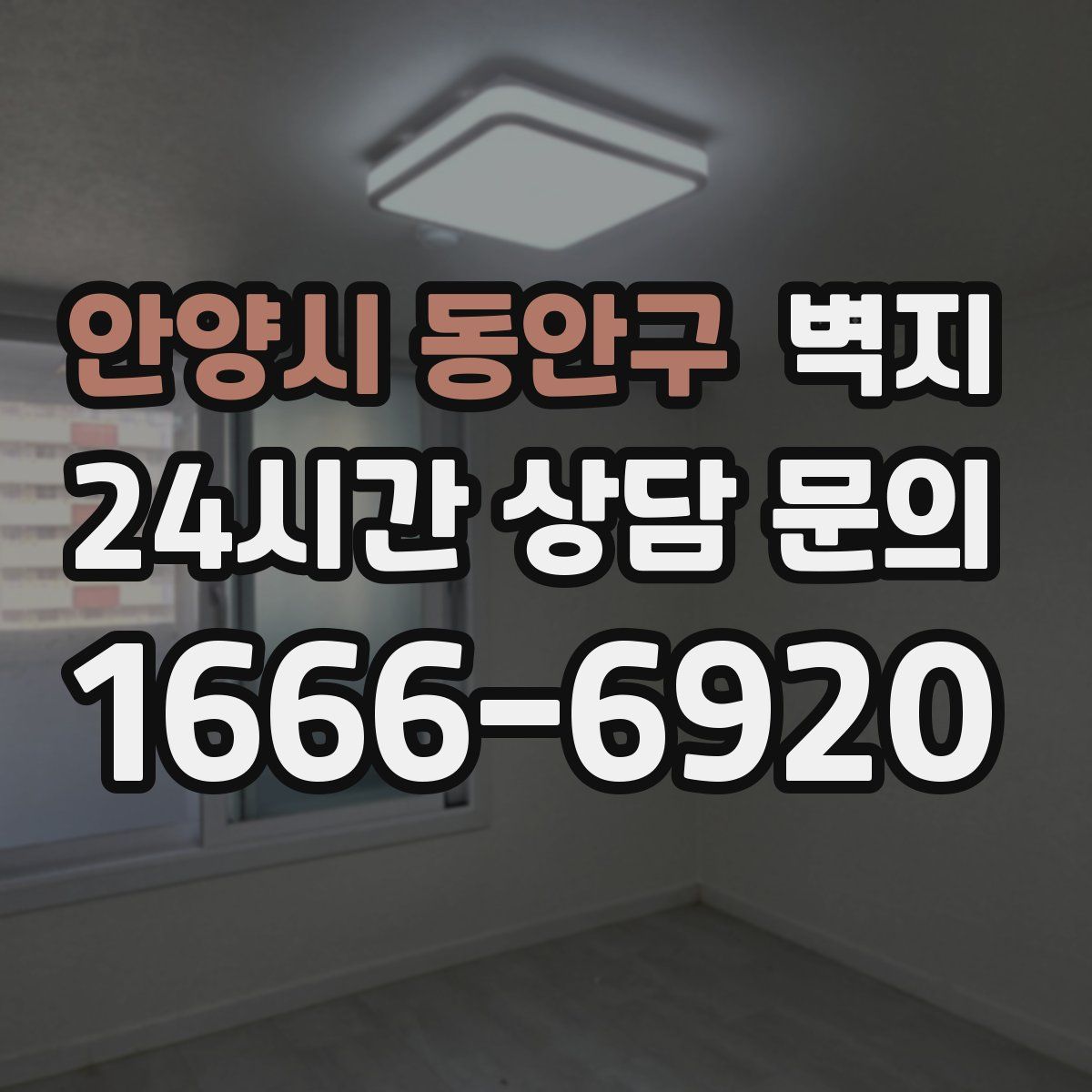 안양시 동안구 벽지