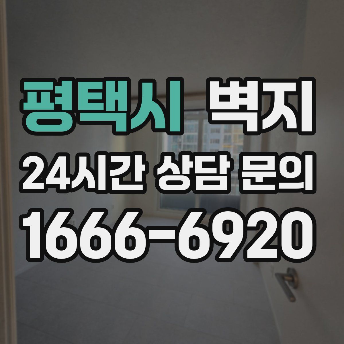 평택시 벽지