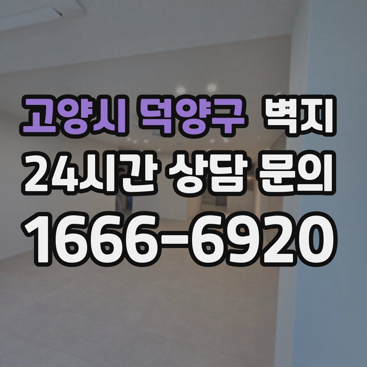 고양시 덕양구 벽지