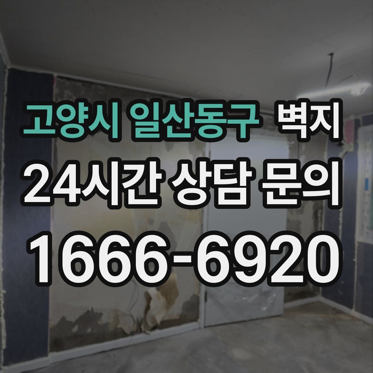 고양시 일산동구 벽지