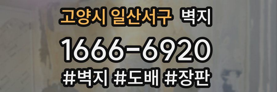 고양시 일산서구 벽지