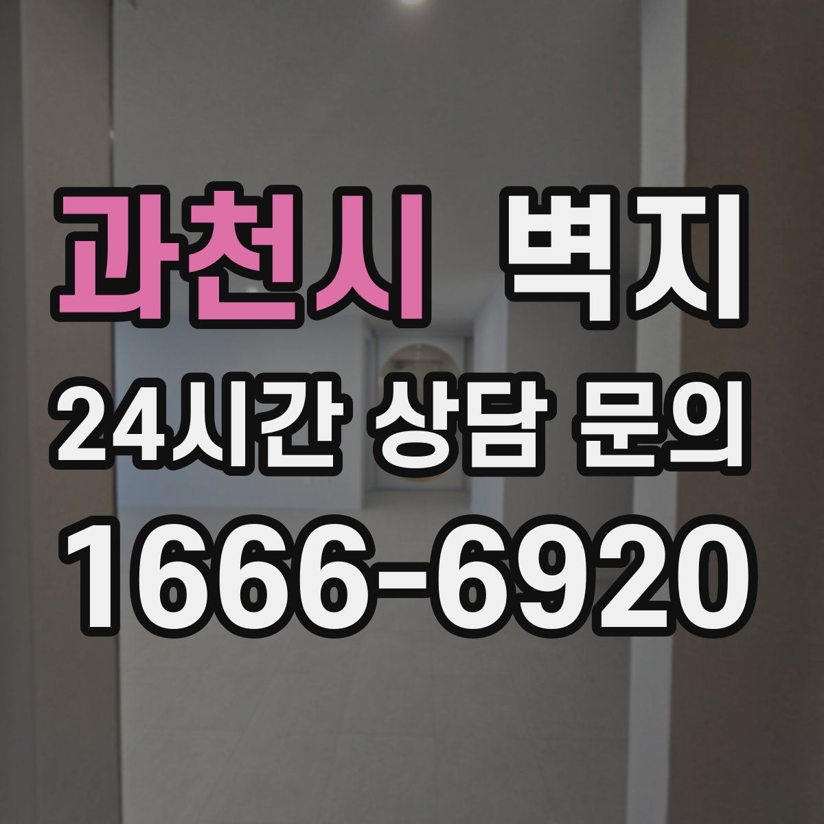 과천시 벽지