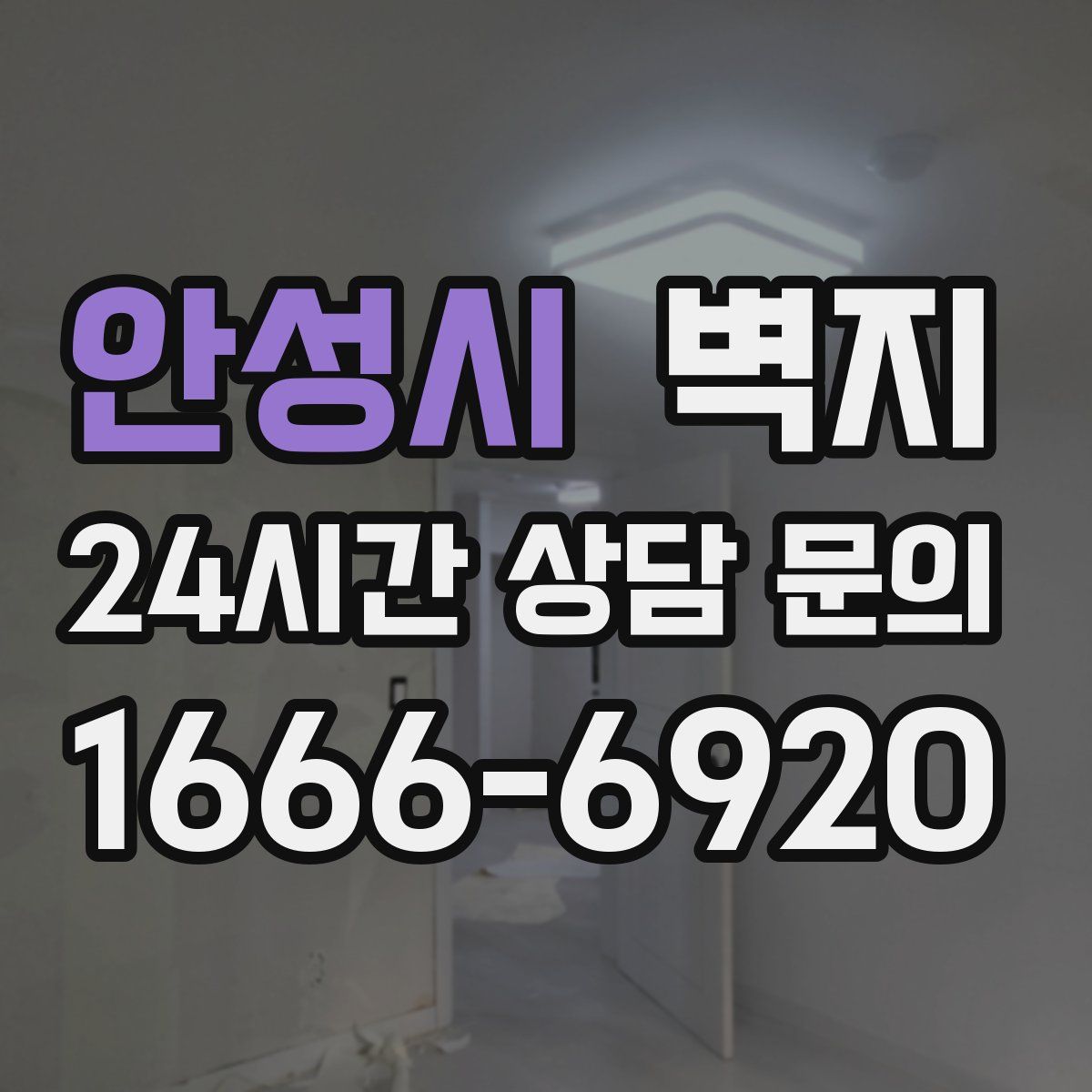 안성시 벽지
