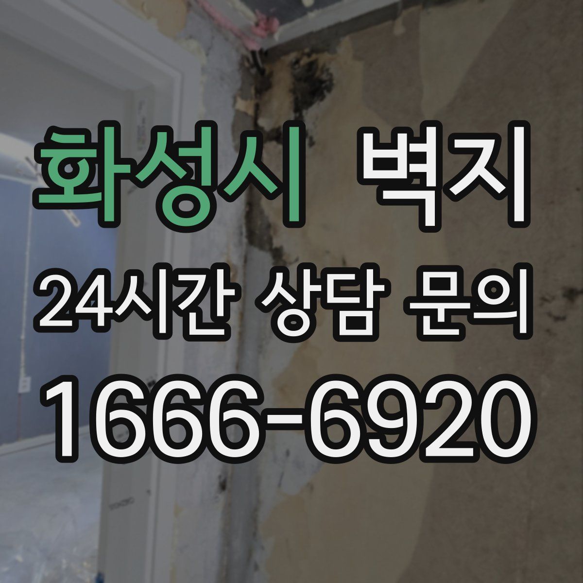 화성시 벽지