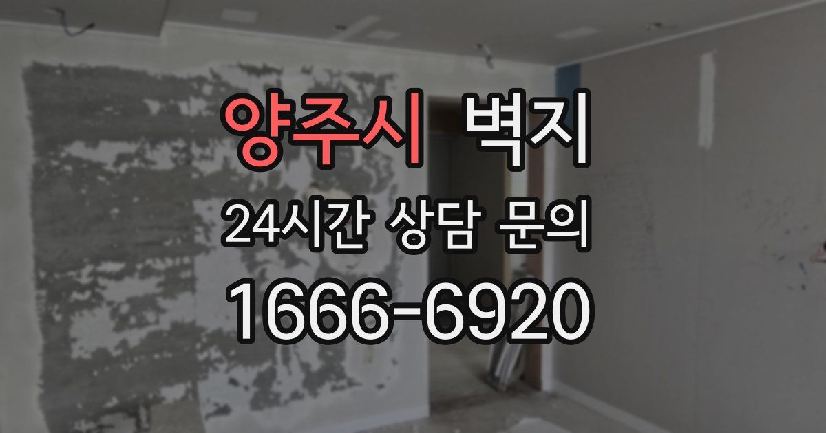 양주시 벽지