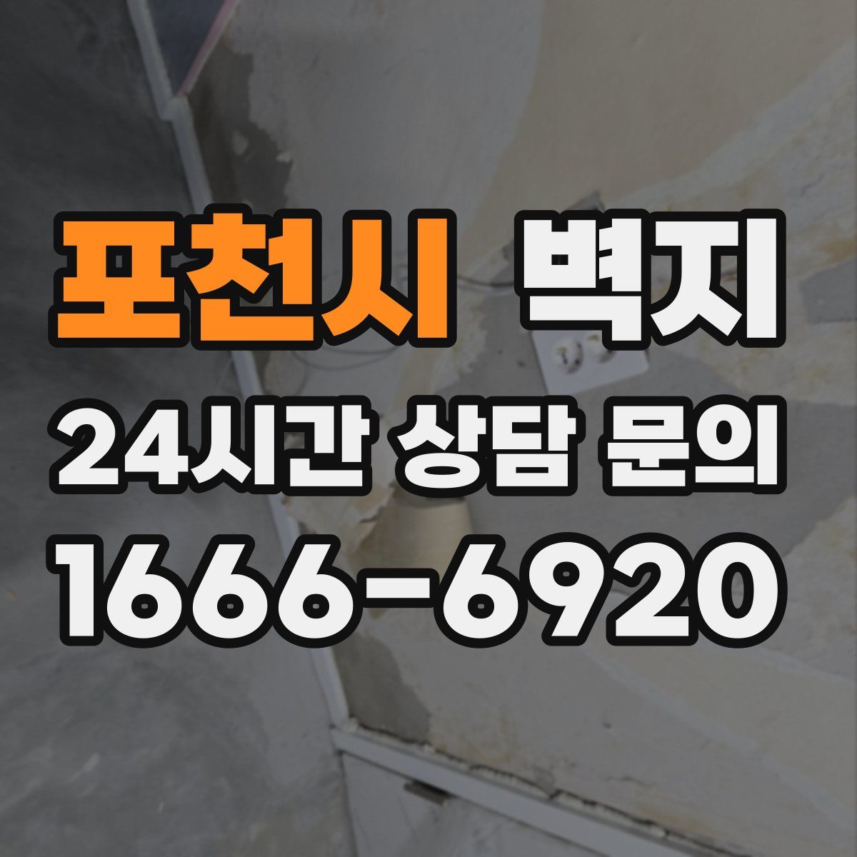 포천시 벽지