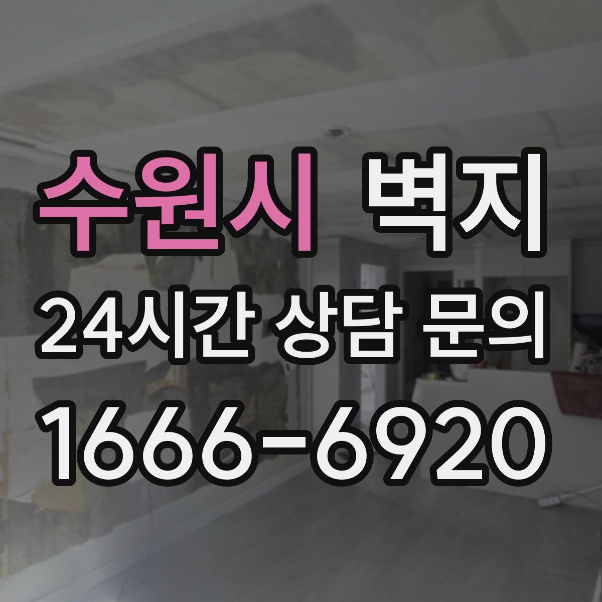 수원시 벽지