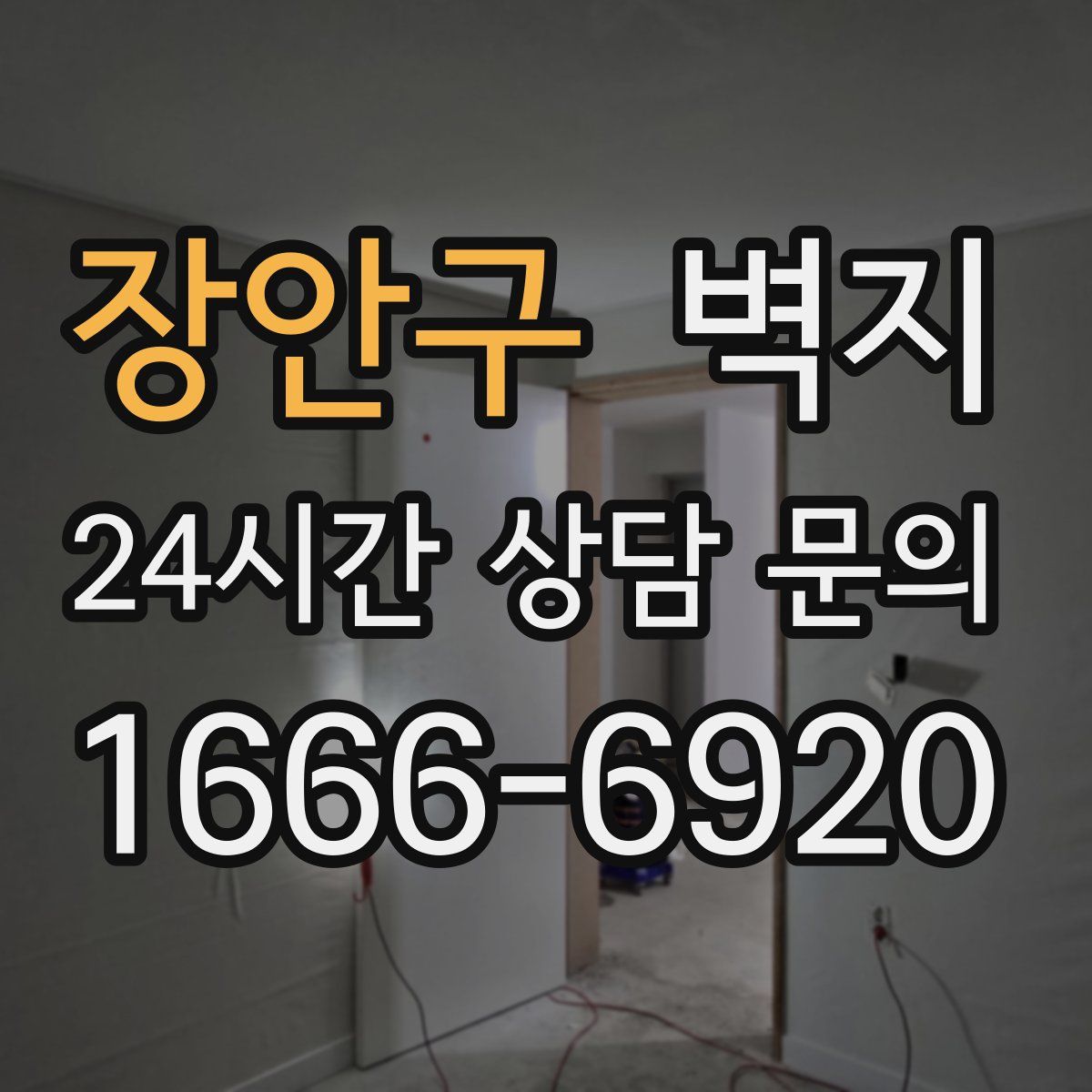 장안구 벽지