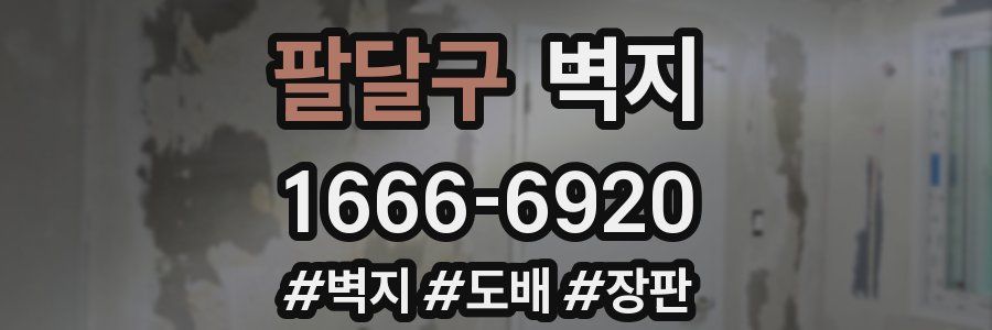 팔달구 벽지