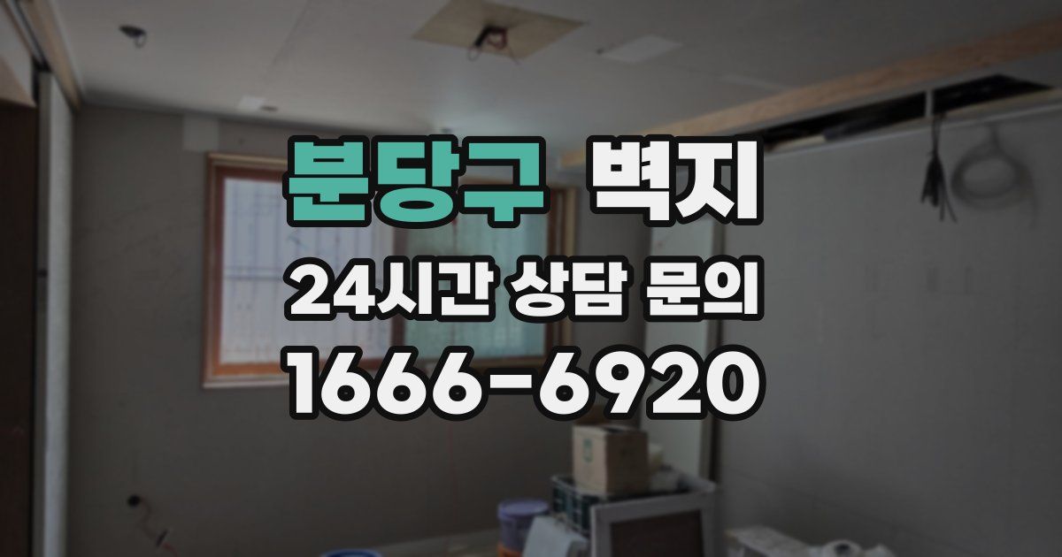 분당구 벽지