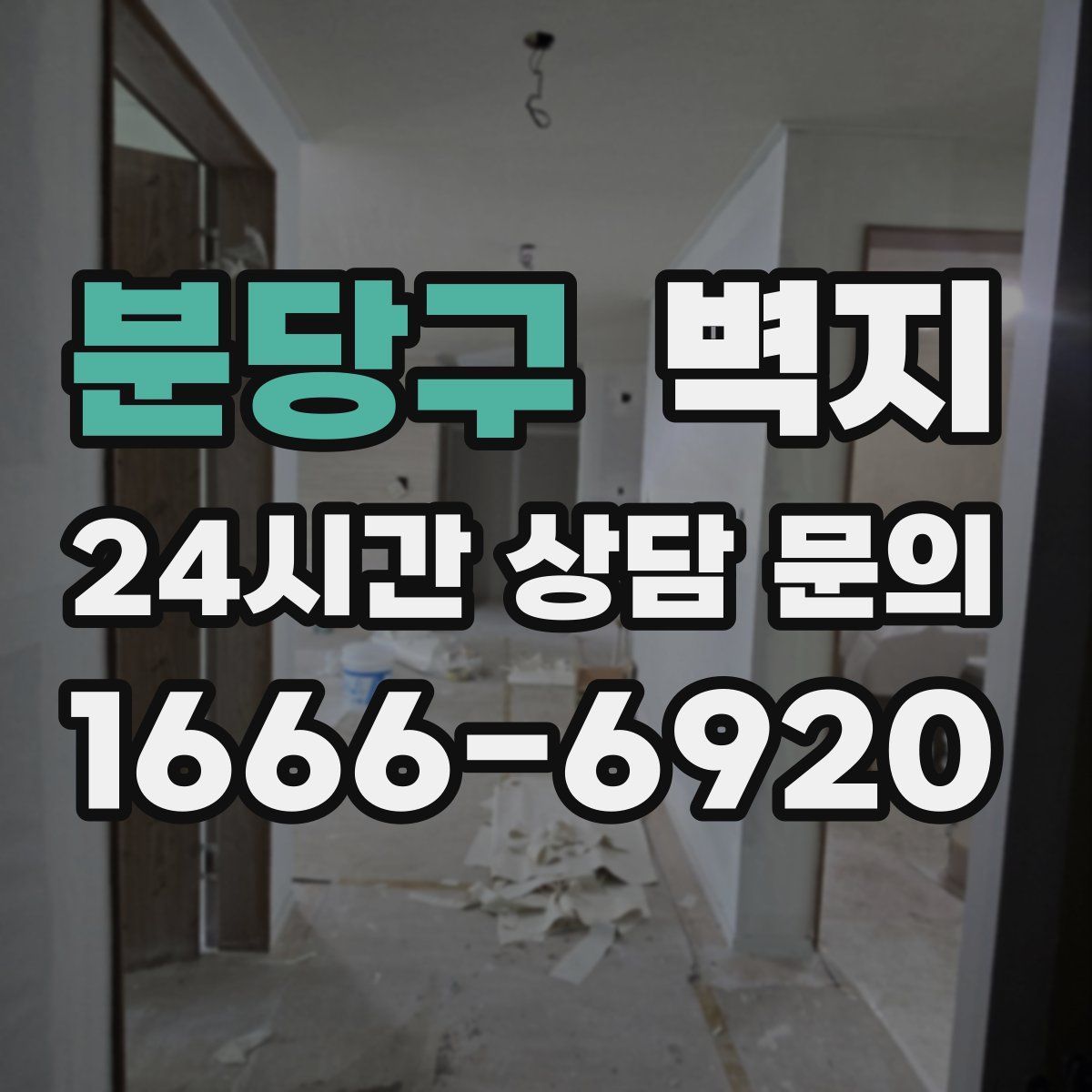 분당구 벽지