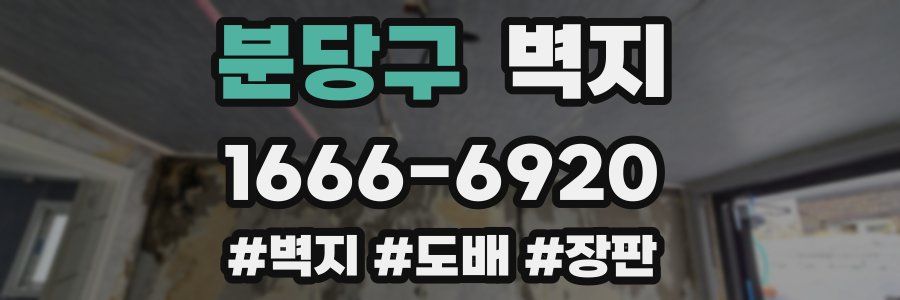 분당구 벽지