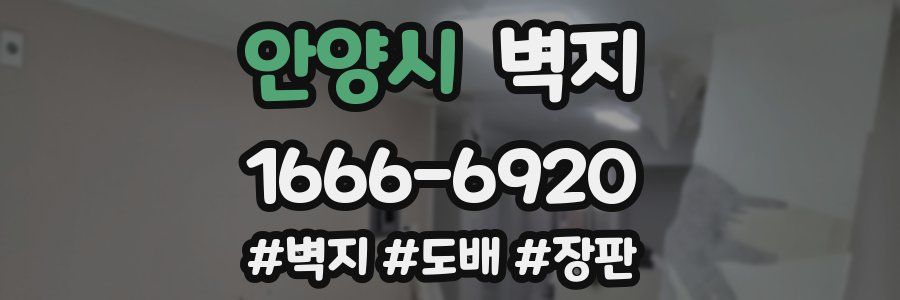 안양시 벽지