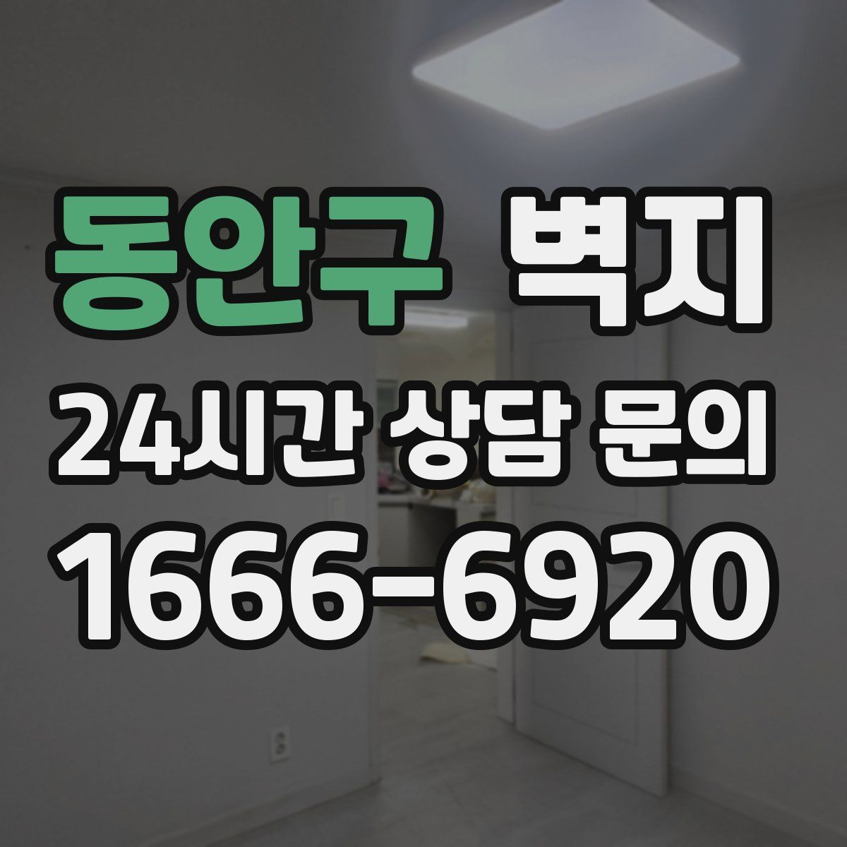 동안구 벽지