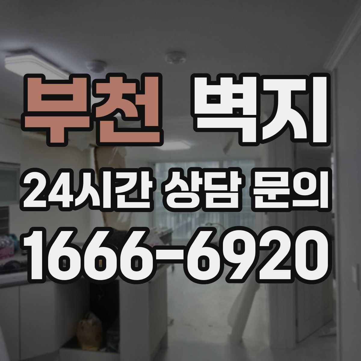 부천 벽지