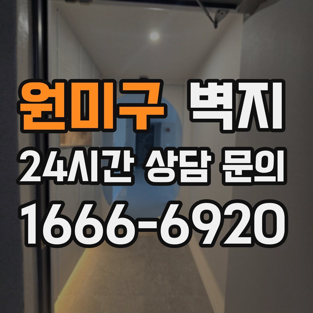 원미구 벽지