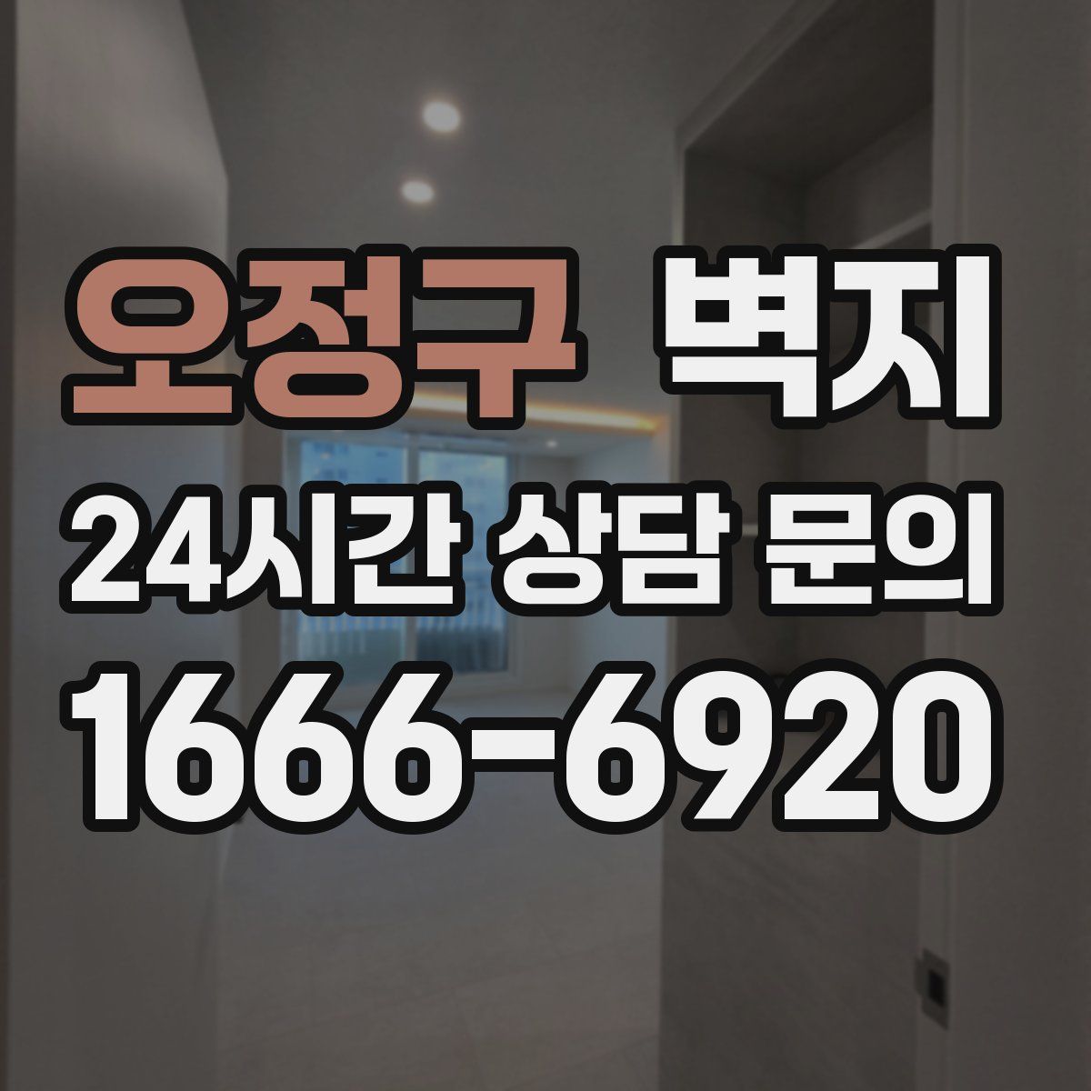오정구 벽지