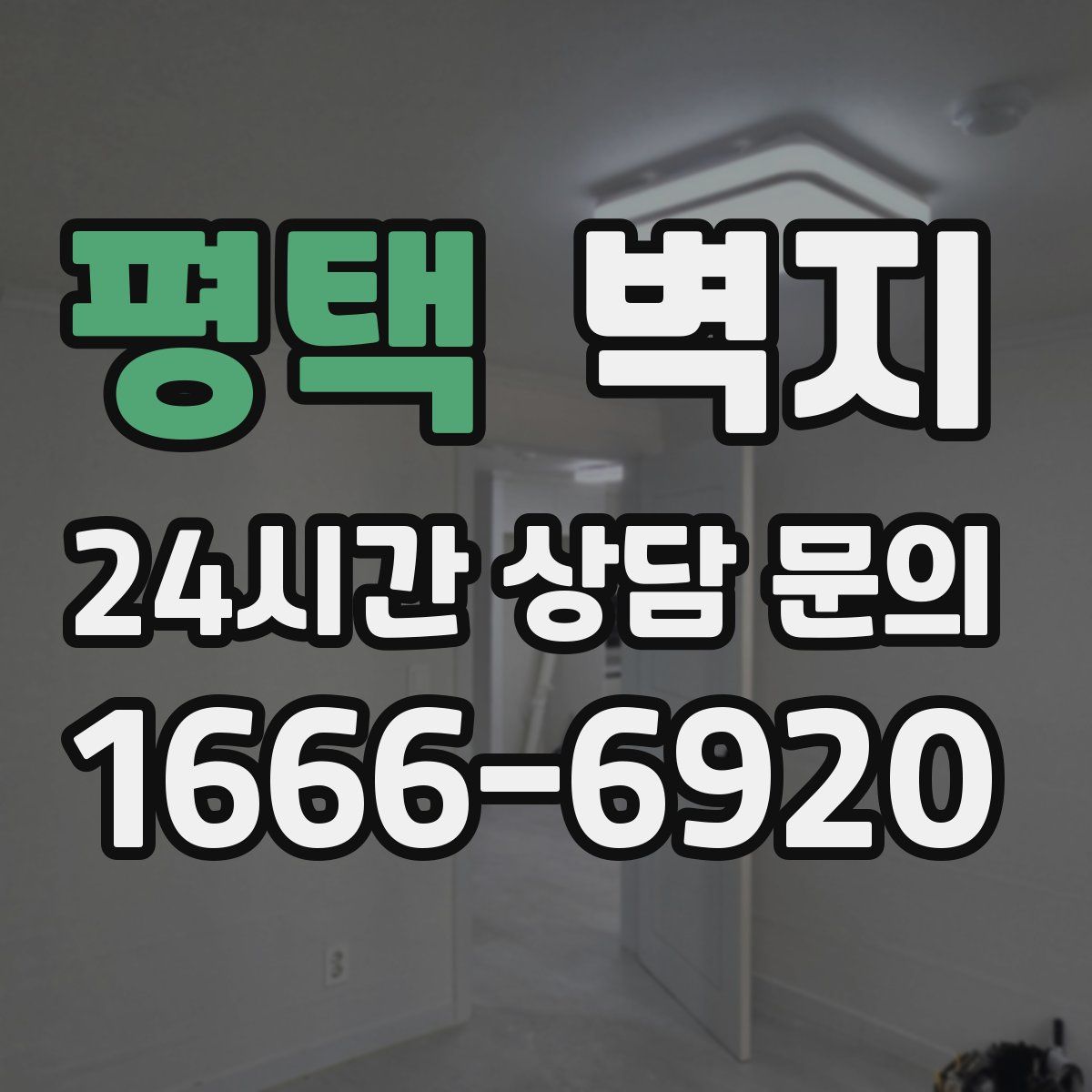 평택 벽지
