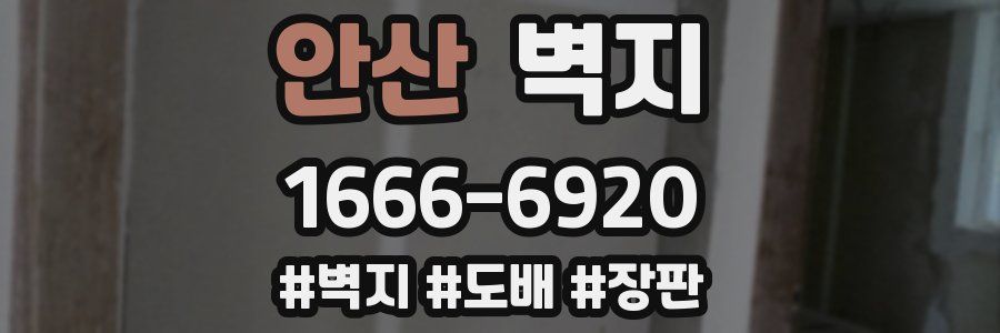 안산 벽지